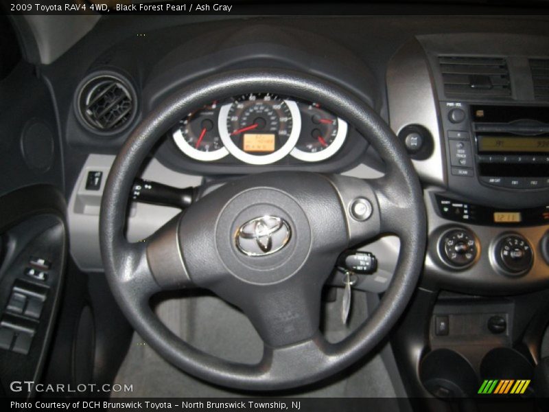 Black Forest Pearl / Ash Gray 2009 Toyota RAV4 4WD