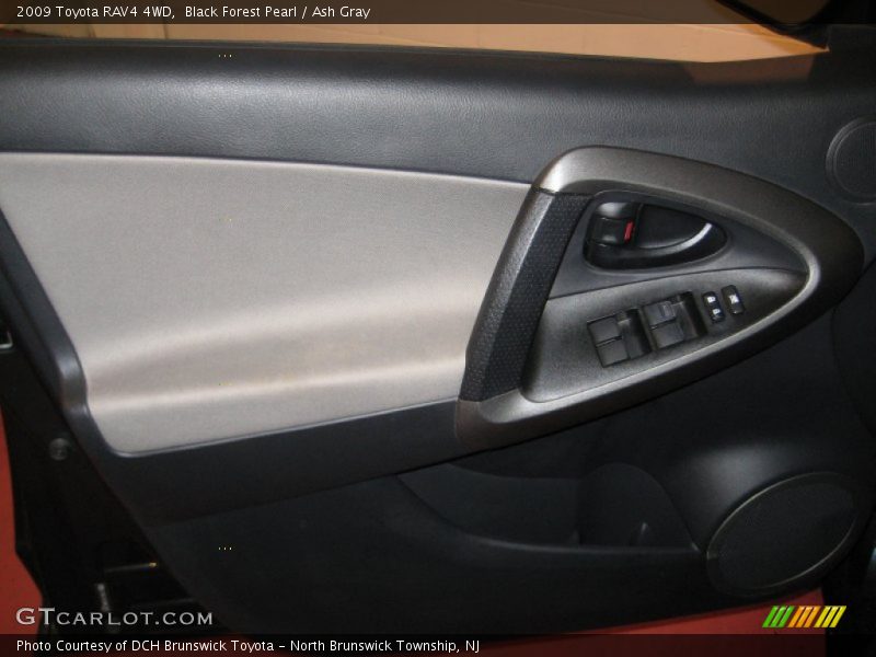 Black Forest Pearl / Ash Gray 2009 Toyota RAV4 4WD