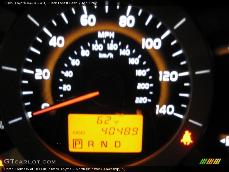 Black Forest Pearl / Ash Gray 2009 Toyota RAV4 4WD