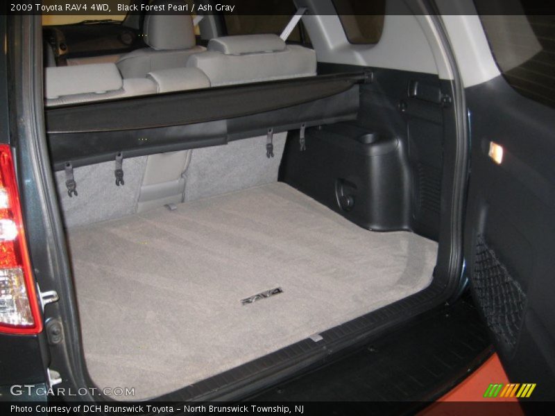 Black Forest Pearl / Ash Gray 2009 Toyota RAV4 4WD