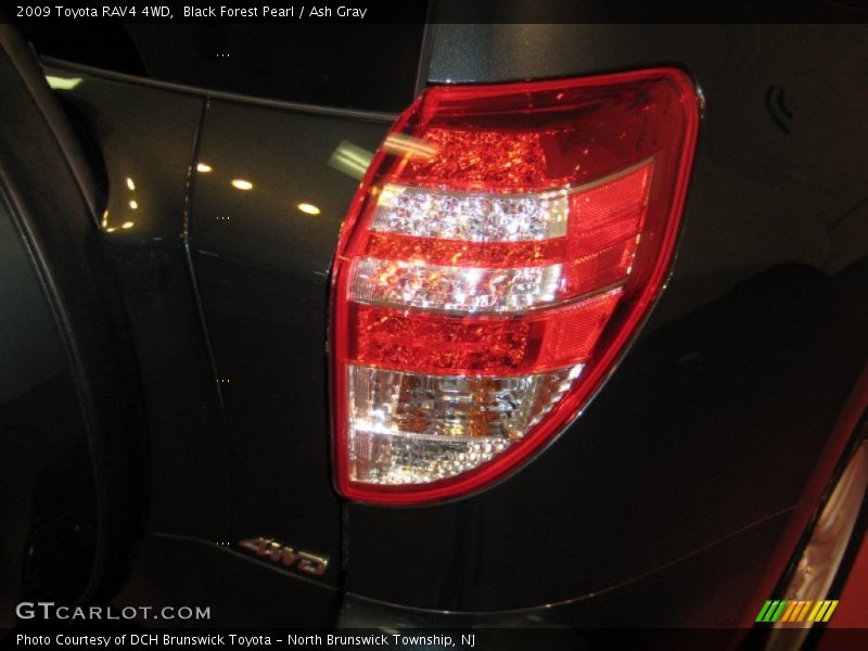 Black Forest Pearl / Ash Gray 2009 Toyota RAV4 4WD