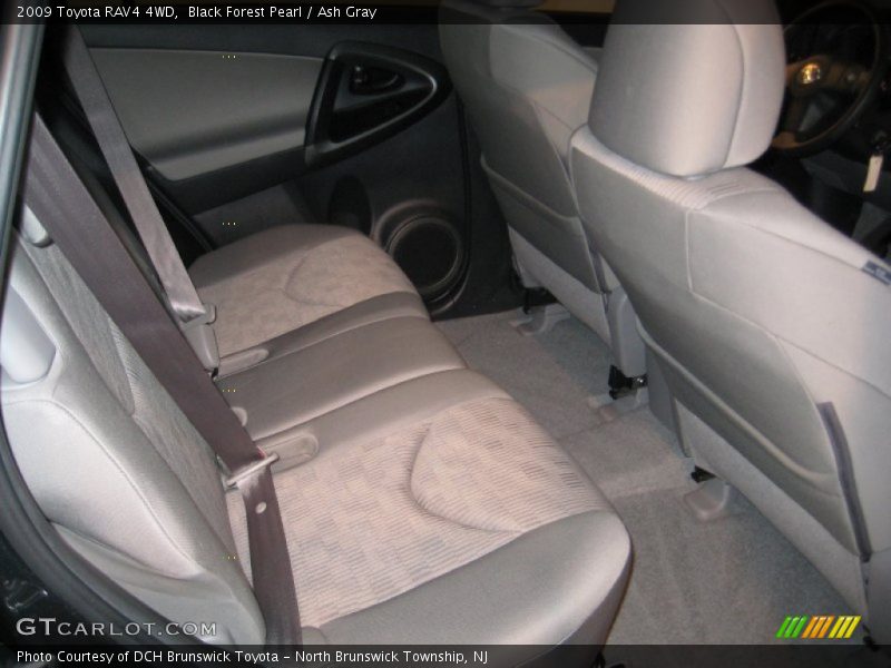 Black Forest Pearl / Ash Gray 2009 Toyota RAV4 4WD