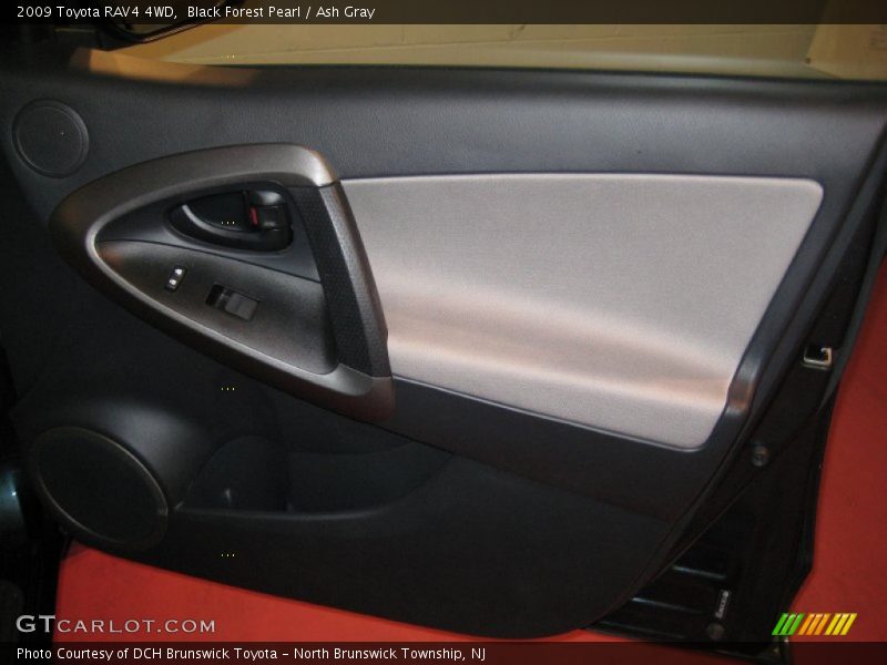 Black Forest Pearl / Ash Gray 2009 Toyota RAV4 4WD