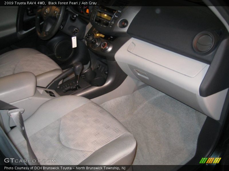 Black Forest Pearl / Ash Gray 2009 Toyota RAV4 4WD
