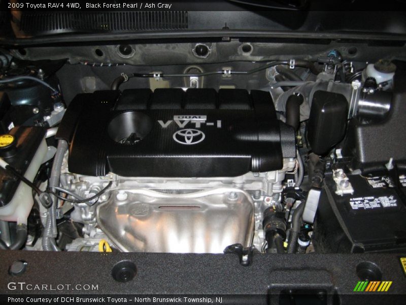 Black Forest Pearl / Ash Gray 2009 Toyota RAV4 4WD