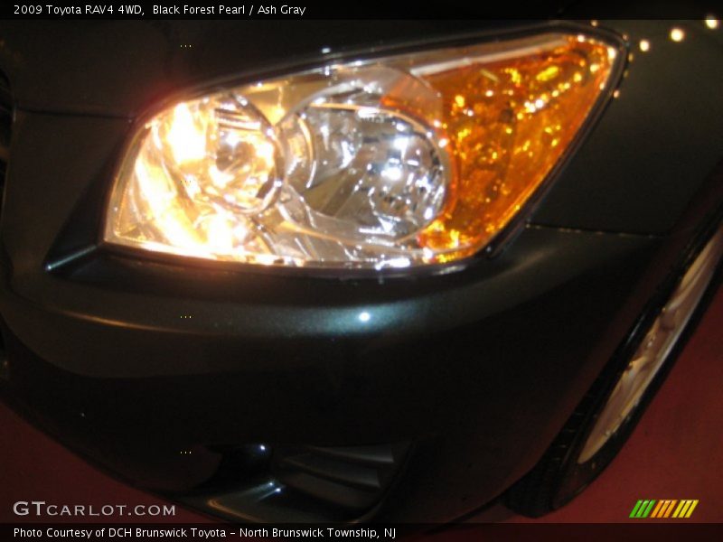 Black Forest Pearl / Ash Gray 2009 Toyota RAV4 4WD