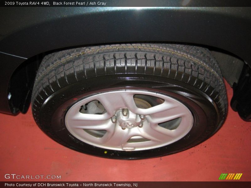Black Forest Pearl / Ash Gray 2009 Toyota RAV4 4WD