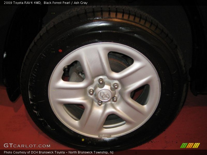 Black Forest Pearl / Ash Gray 2009 Toyota RAV4 4WD