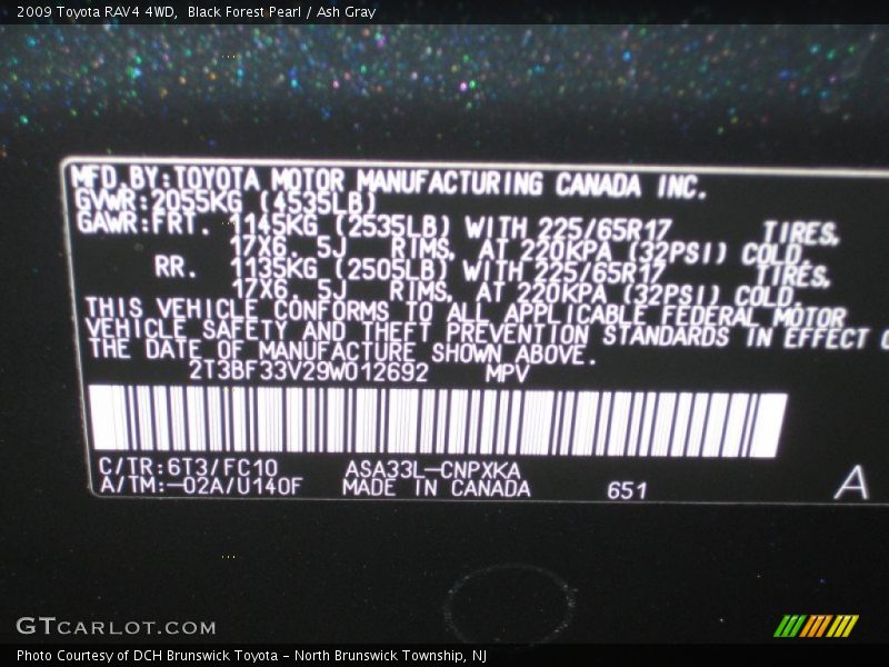 Black Forest Pearl / Ash Gray 2009 Toyota RAV4 4WD