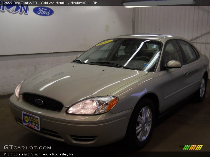 Gold Ash Metallic / Medium/Dark Flint 2005 Ford Taurus SEL