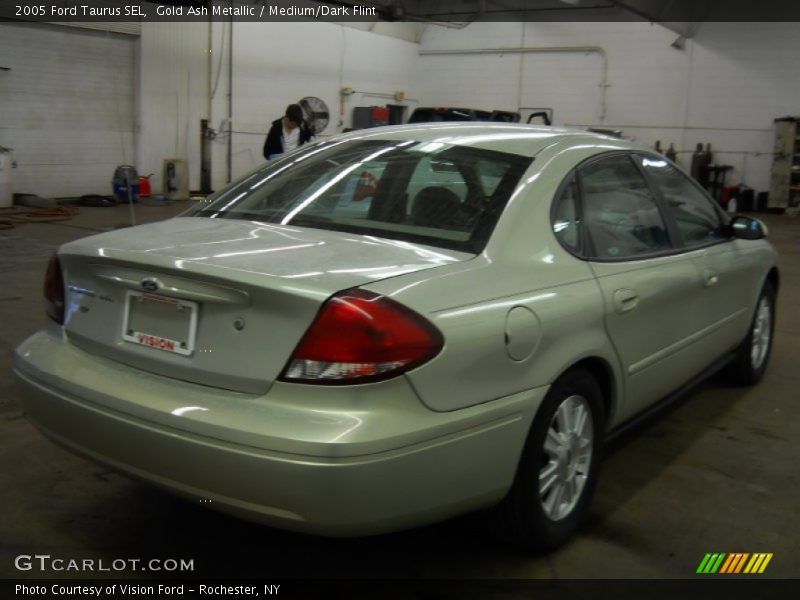 Gold Ash Metallic / Medium/Dark Flint 2005 Ford Taurus SEL