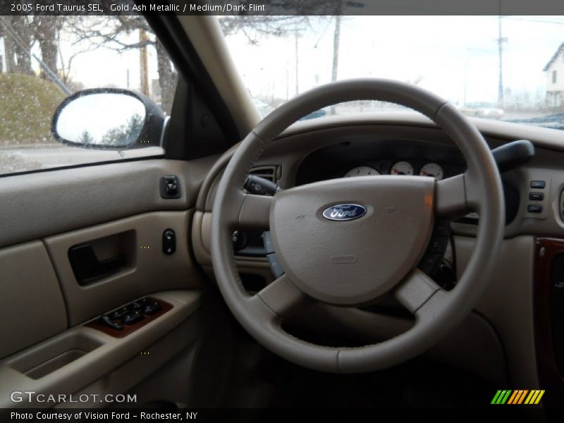 Gold Ash Metallic / Medium/Dark Flint 2005 Ford Taurus SEL