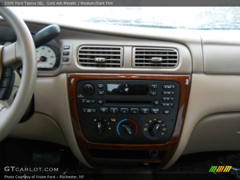 Gold Ash Metallic / Medium/Dark Flint 2005 Ford Taurus SEL