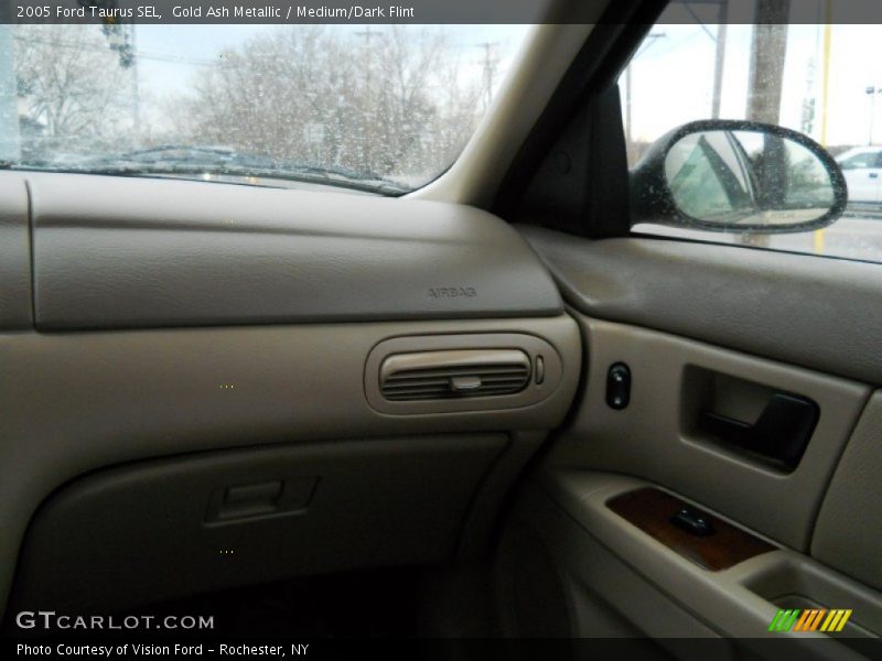 Gold Ash Metallic / Medium/Dark Flint 2005 Ford Taurus SEL