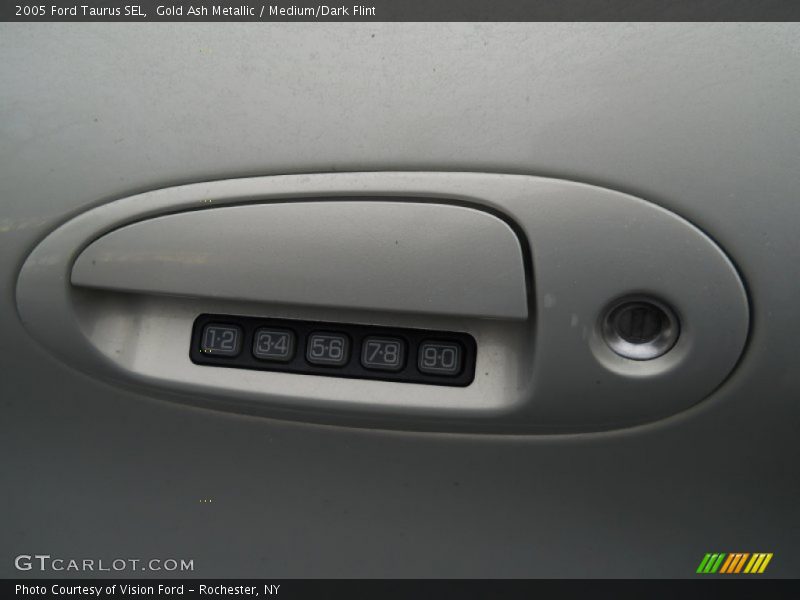 Gold Ash Metallic / Medium/Dark Flint 2005 Ford Taurus SEL
