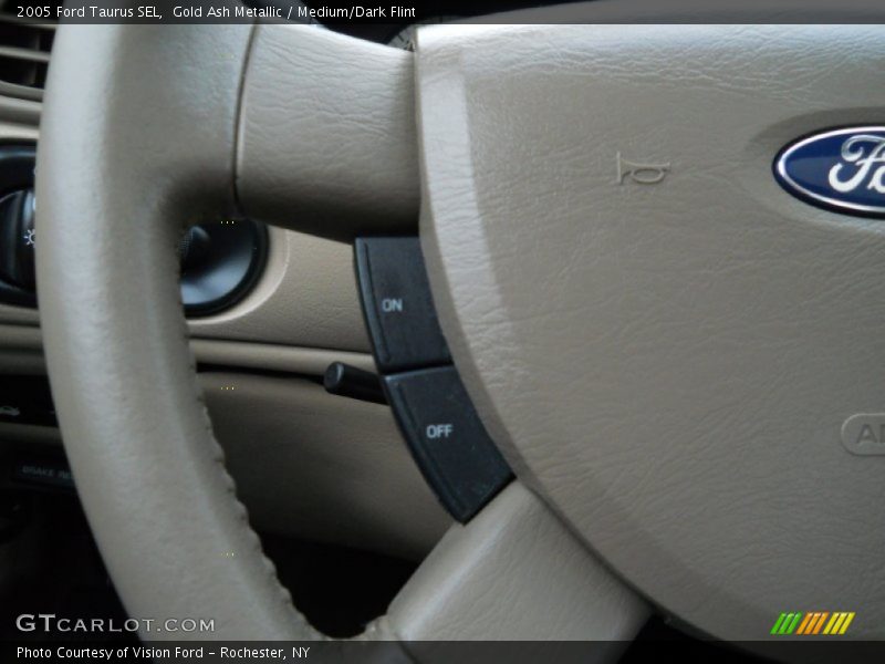Gold Ash Metallic / Medium/Dark Flint 2005 Ford Taurus SEL