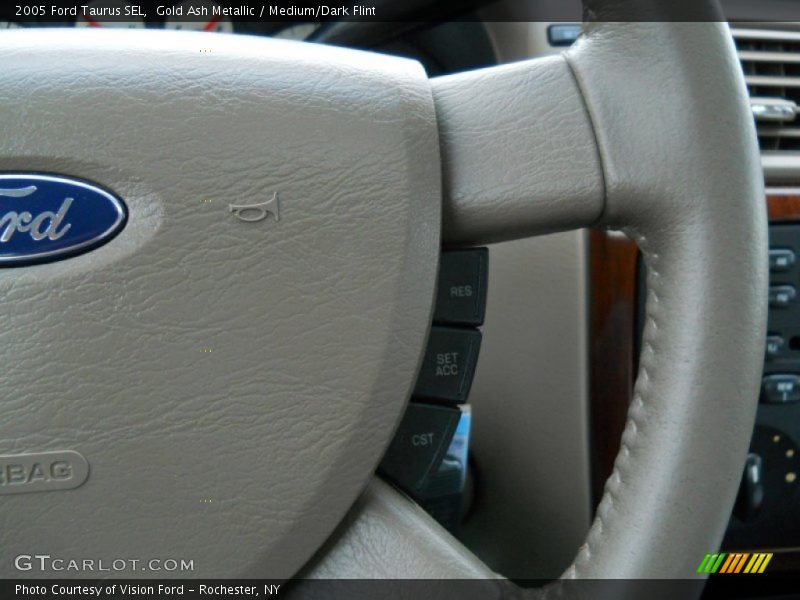 Gold Ash Metallic / Medium/Dark Flint 2005 Ford Taurus SEL