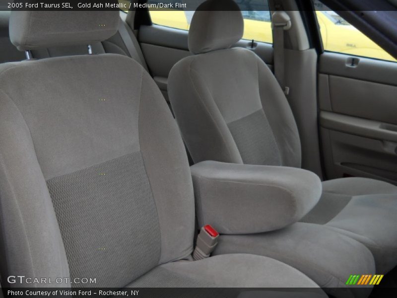 Gold Ash Metallic / Medium/Dark Flint 2005 Ford Taurus SEL