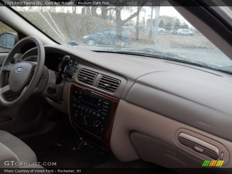 Gold Ash Metallic / Medium/Dark Flint 2005 Ford Taurus SEL