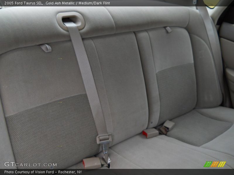 Gold Ash Metallic / Medium/Dark Flint 2005 Ford Taurus SEL
