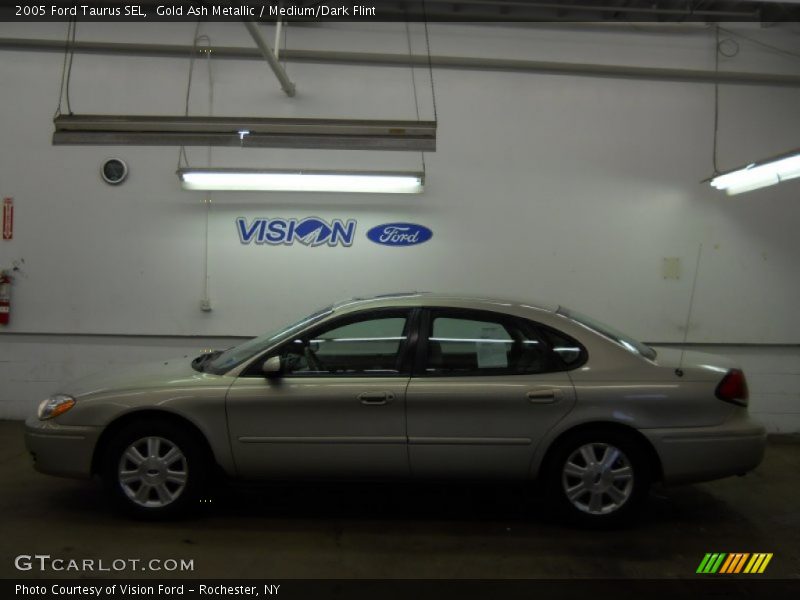 Gold Ash Metallic / Medium/Dark Flint 2005 Ford Taurus SEL