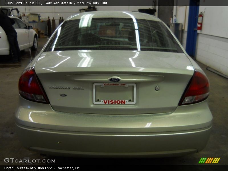 Gold Ash Metallic / Medium/Dark Flint 2005 Ford Taurus SEL