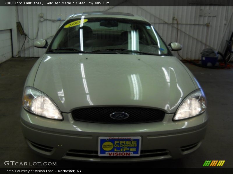 Gold Ash Metallic / Medium/Dark Flint 2005 Ford Taurus SEL