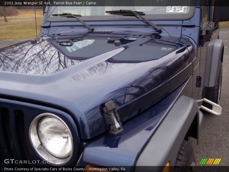 Patriot Blue Pearl / Camel 2001 Jeep Wrangler SE 4x4