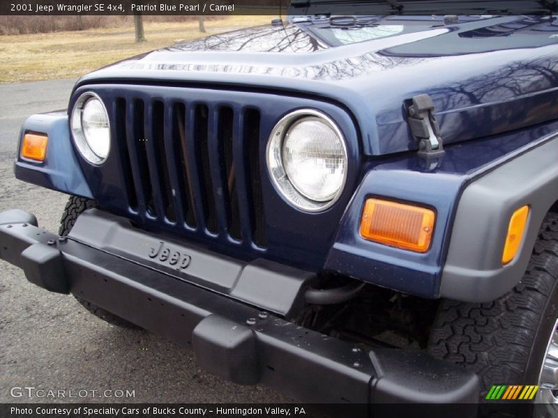Patriot Blue Pearl / Camel 2001 Jeep Wrangler SE 4x4