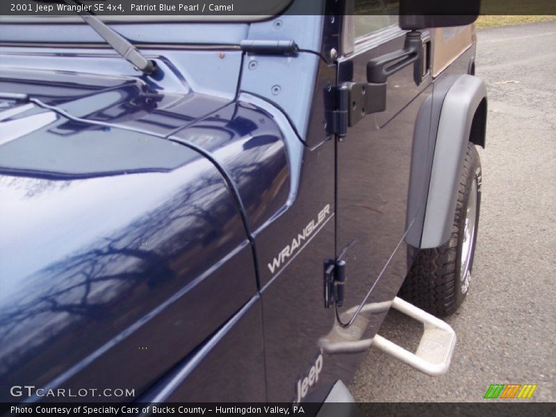 Patriot Blue Pearl / Camel 2001 Jeep Wrangler SE 4x4