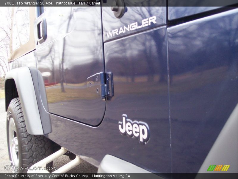 Patriot Blue Pearl / Camel 2001 Jeep Wrangler SE 4x4