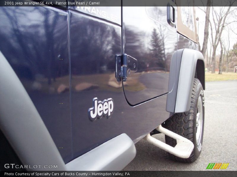 Patriot Blue Pearl / Camel 2001 Jeep Wrangler SE 4x4