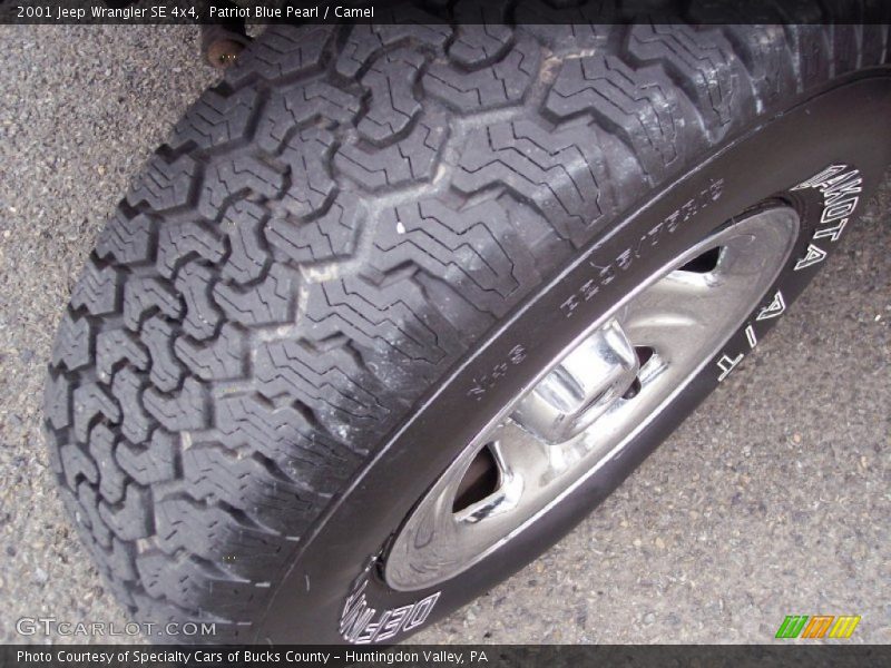 Patriot Blue Pearl / Camel 2001 Jeep Wrangler SE 4x4