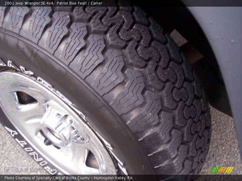 Patriot Blue Pearl / Camel 2001 Jeep Wrangler SE 4x4