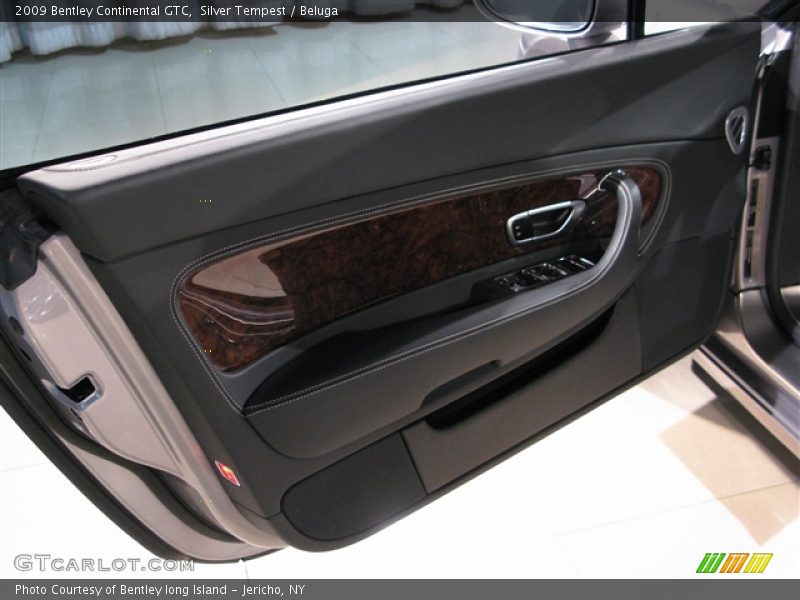 Door Panel of 2009 Continental GTC 