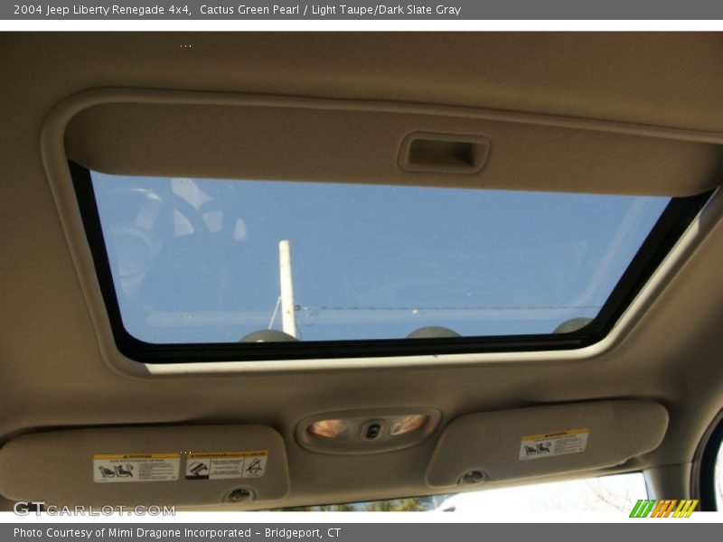 Cactus Green Pearl / Light Taupe/Dark Slate Gray 2004 Jeep Liberty Renegade 4x4