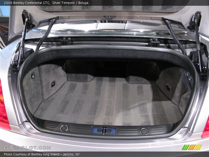 Silver Tempest / Beluga 2009 Bentley Continental GTC