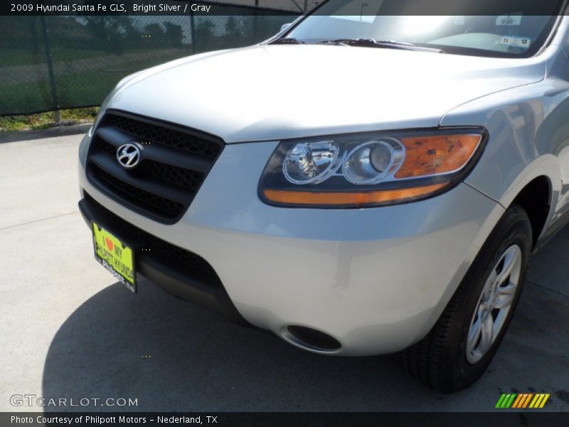 Bright Silver / Gray 2009 Hyundai Santa Fe GLS