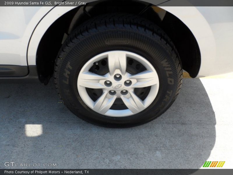 Bright Silver / Gray 2009 Hyundai Santa Fe GLS