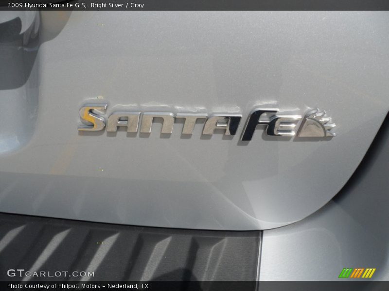 Bright Silver / Gray 2009 Hyundai Santa Fe GLS