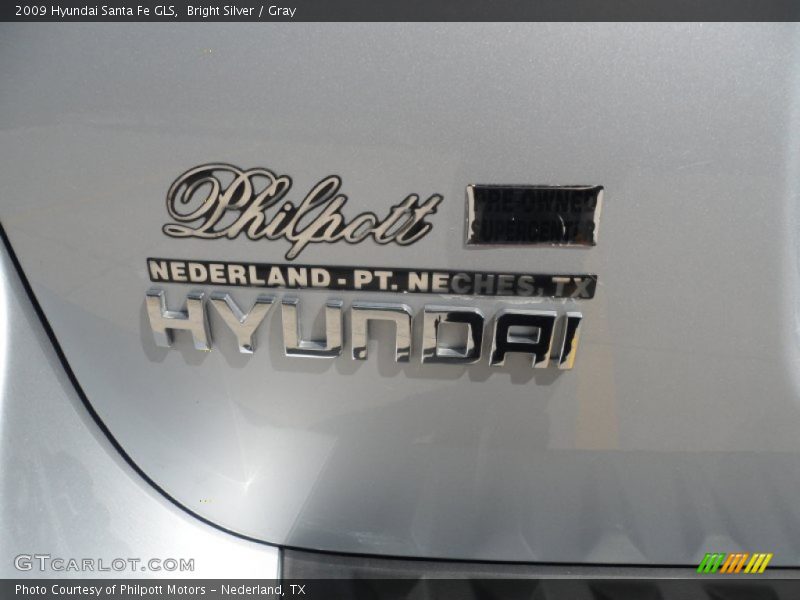 Bright Silver / Gray 2009 Hyundai Santa Fe GLS