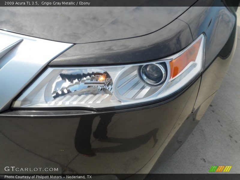 Grigio Gray Metallic / Ebony 2009 Acura TL 3.5