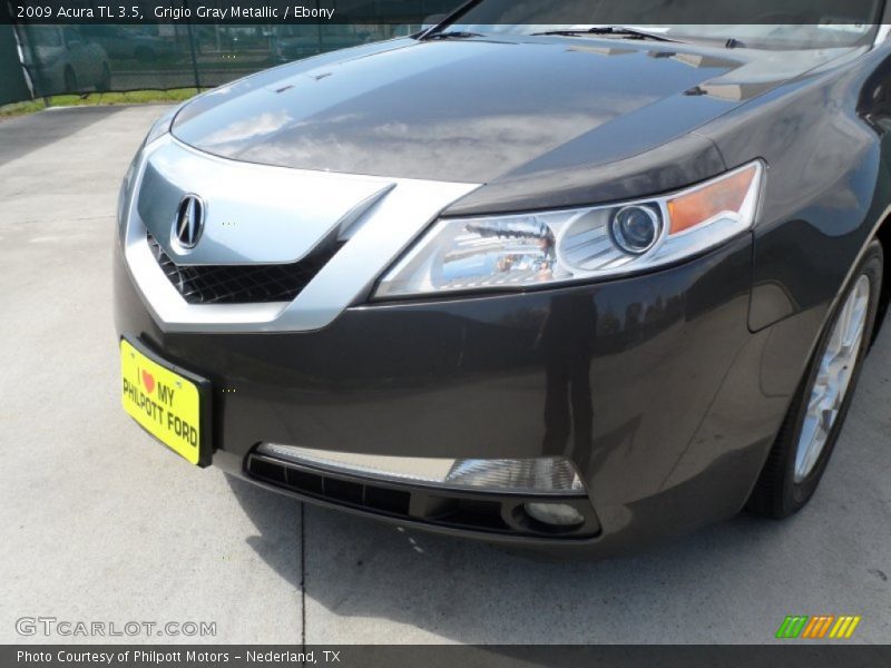 Grigio Gray Metallic / Ebony 2009 Acura TL 3.5