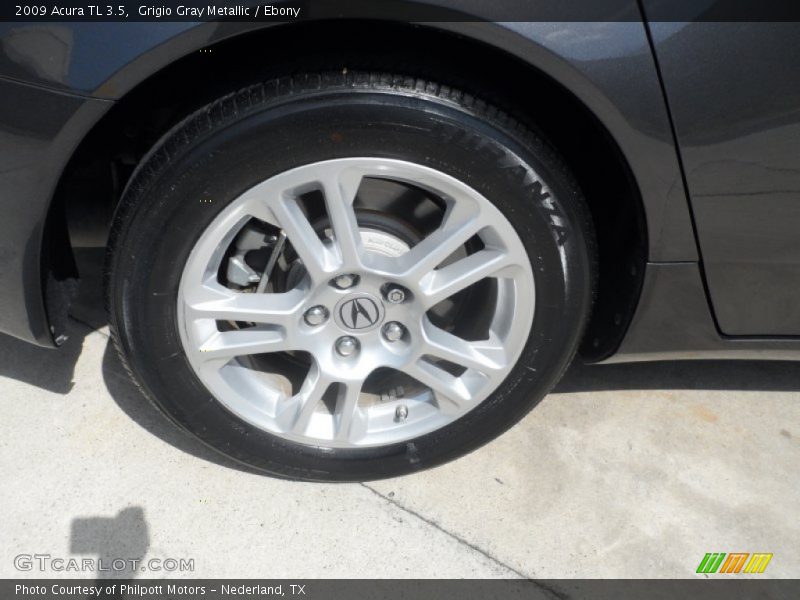 Grigio Gray Metallic / Ebony 2009 Acura TL 3.5