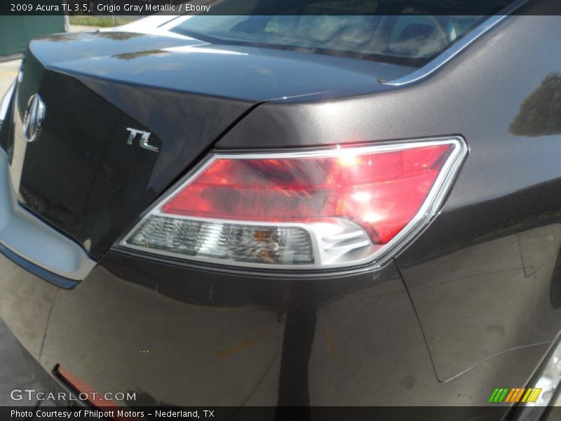 Grigio Gray Metallic / Ebony 2009 Acura TL 3.5
