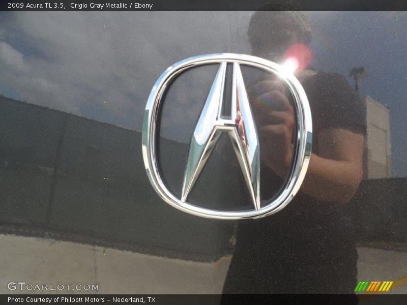 Grigio Gray Metallic / Ebony 2009 Acura TL 3.5