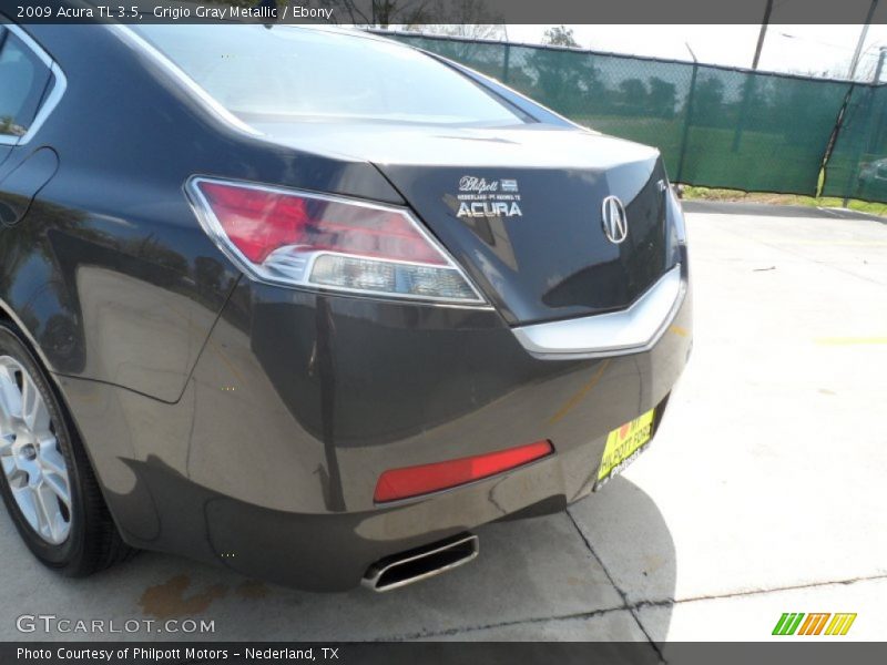 Grigio Gray Metallic / Ebony 2009 Acura TL 3.5