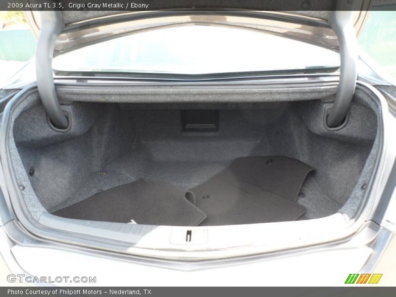 Grigio Gray Metallic / Ebony 2009 Acura TL 3.5