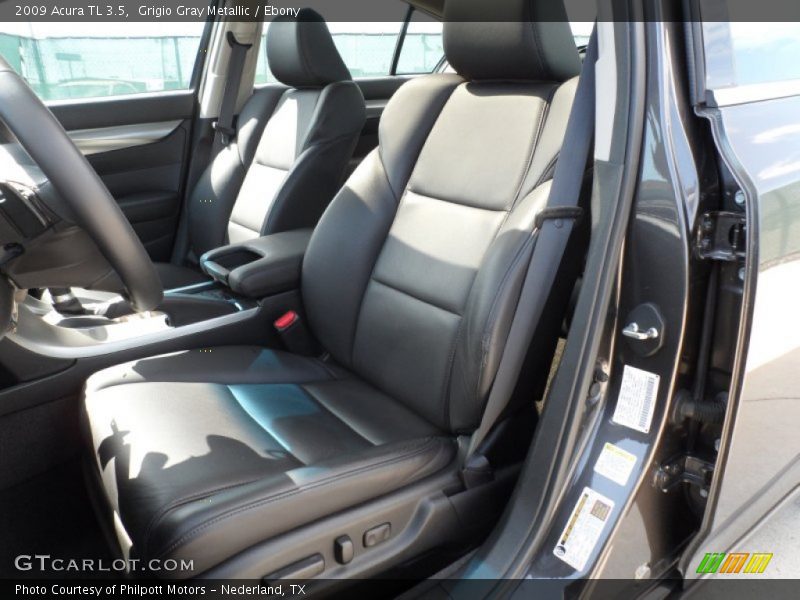 Grigio Gray Metallic / Ebony 2009 Acura TL 3.5