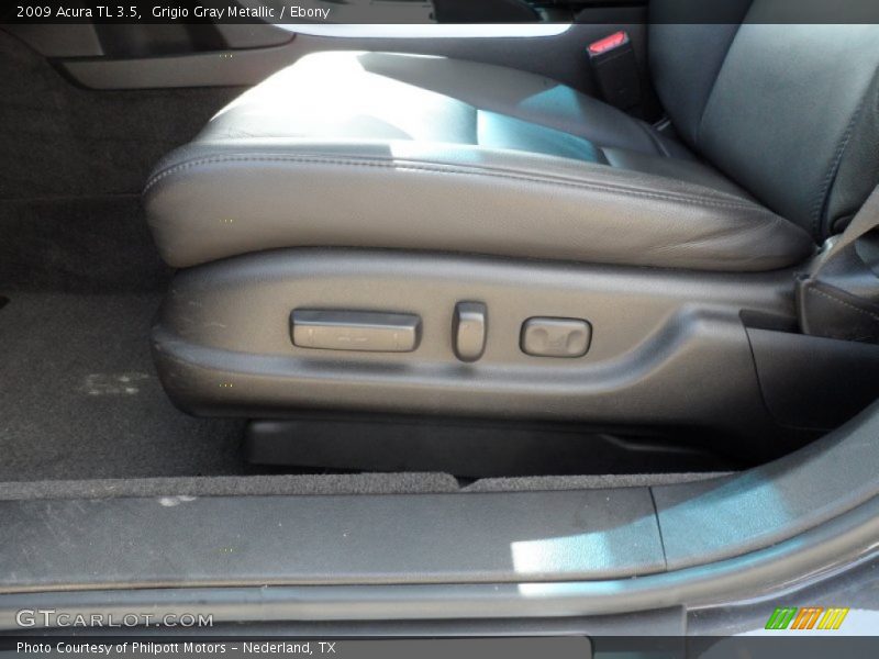 Grigio Gray Metallic / Ebony 2009 Acura TL 3.5